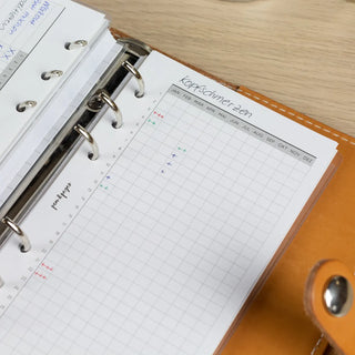 NPS055 Tracker Jahr Personal Beispiel Kopfschmerzen